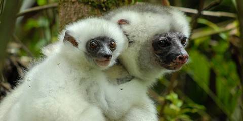 Remote Madagascar