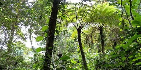 16-Day A Journey Through Madagascar's Diverse Landscapes