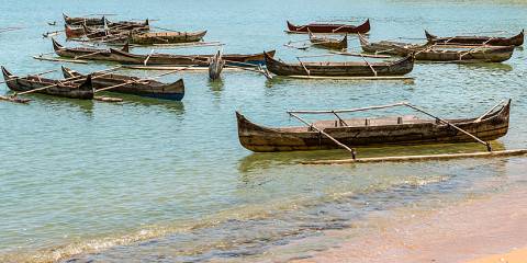 1-Day Nosy- Be Lokobe Reserve Nature Excursion