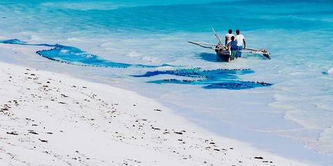 10-Day Rn7 South Tour to Toliara & Mangily, Andasibe Park