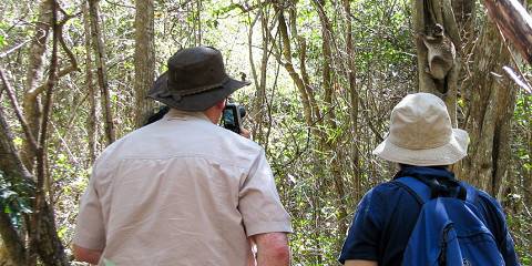 6-Day Luxury Lemurs & Baobab Tour