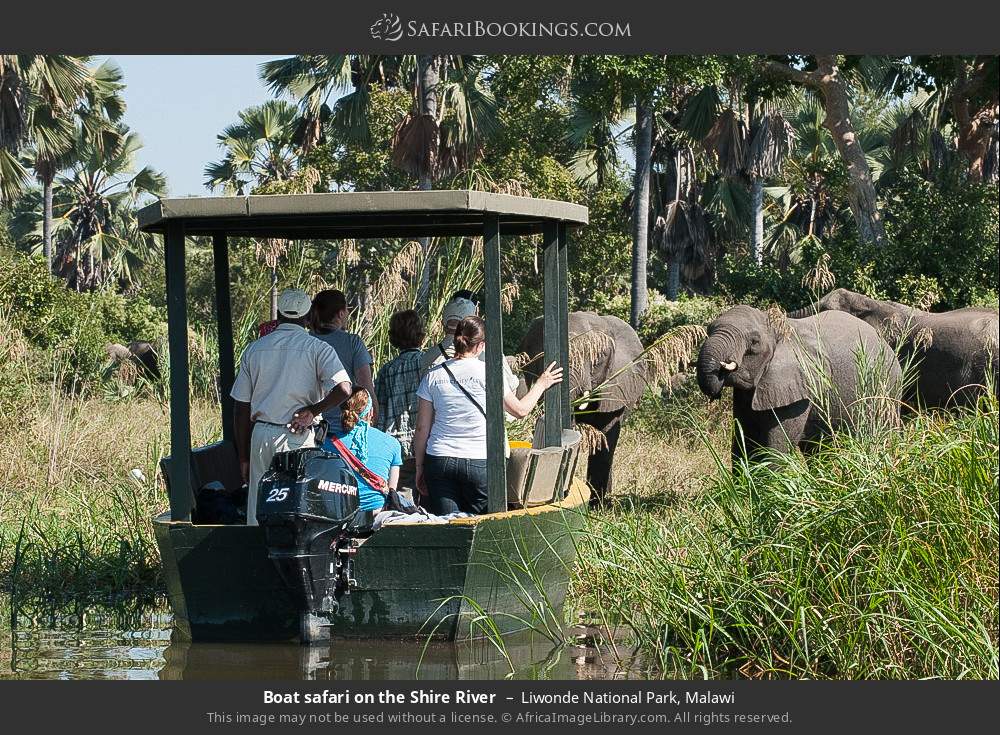 Boat safari on the Shire River in Liwonde National Park, Malawi