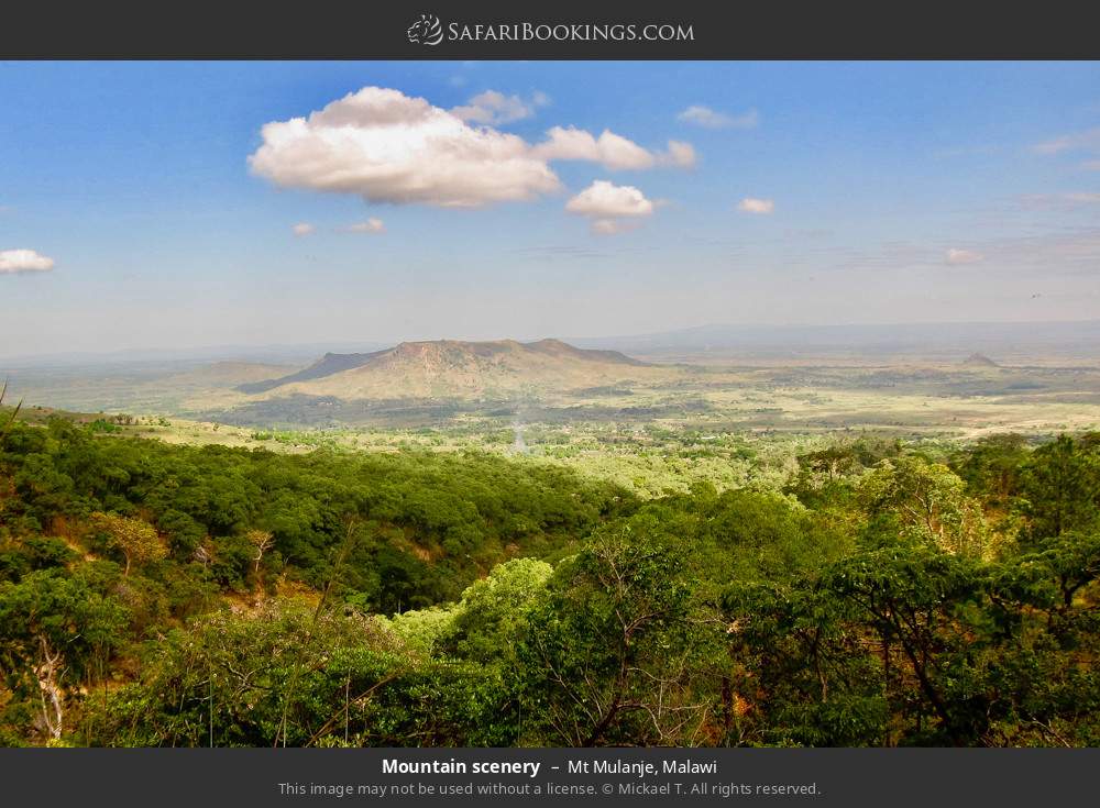 Mountain scenery in Mt Mulanje, Malawi