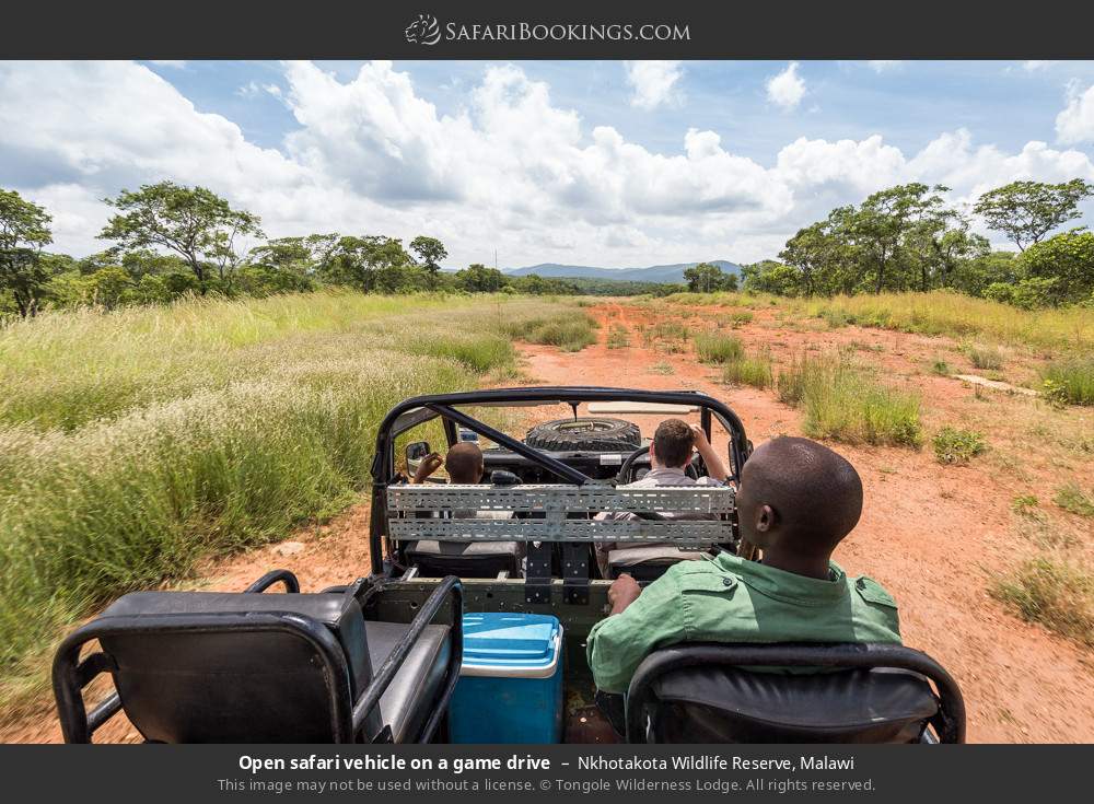 Open safari vehicle on a game drive in Nkhotakota Wildlife Reserve, Malawi