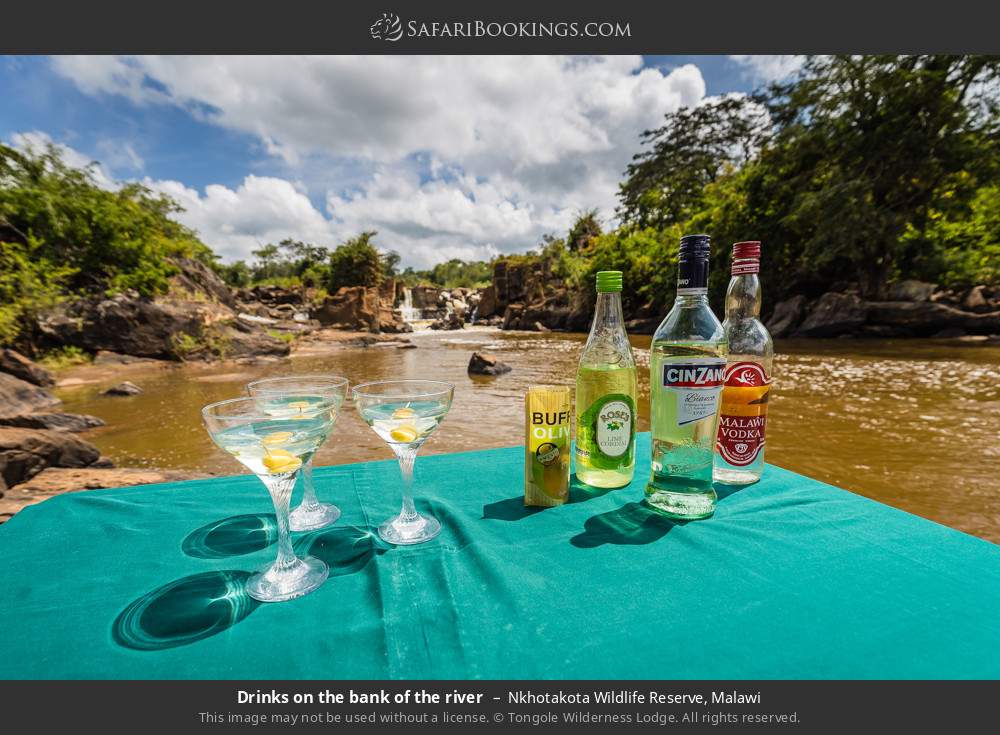 Drinks on the bank of the river in Nkhotakota Wildlife Reserve, Malawi