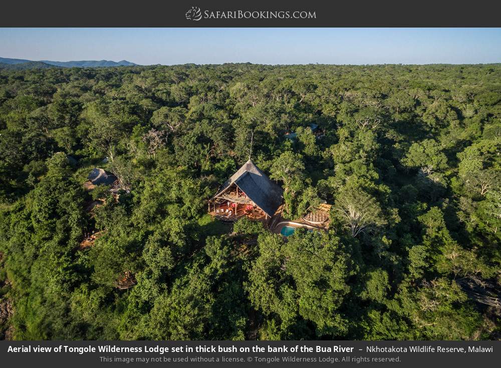 Aerial view of Tongole Wilderness Lodge set in thick bush on the bank of the Bua River in Nkhotakota Wildlife Reserve, Malawi