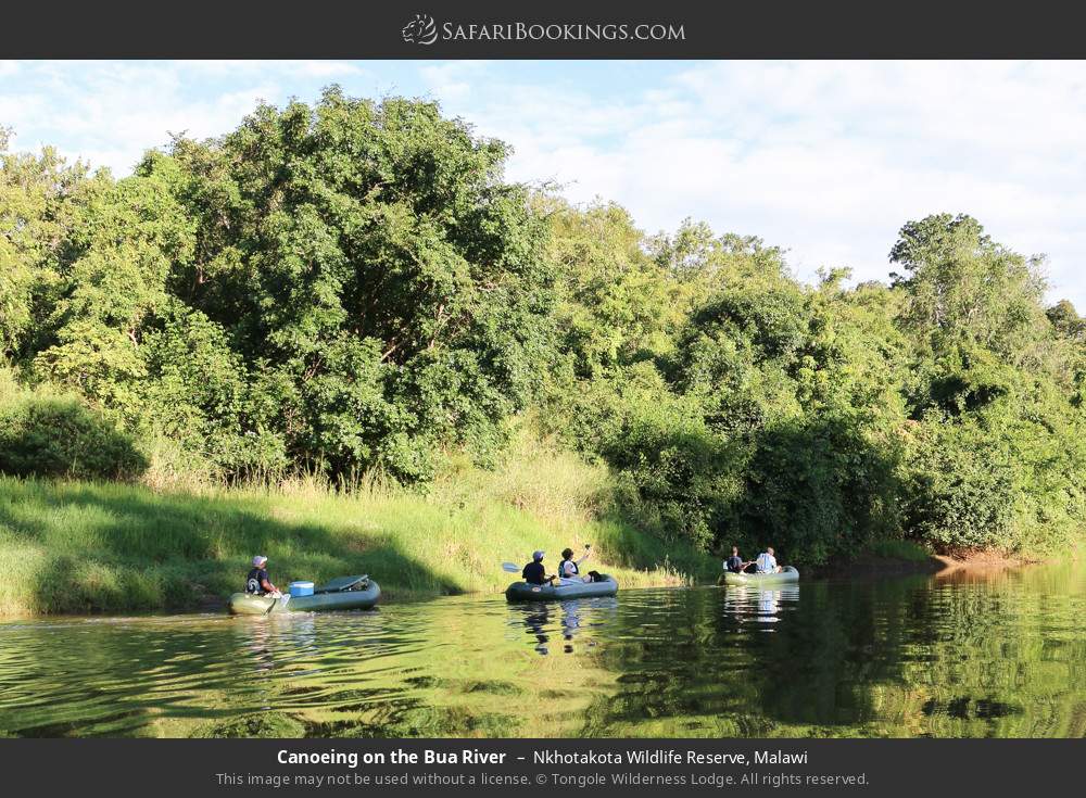 Canoeing on the Bua River in Nkhotakota Wildlife Reserve, Malawi