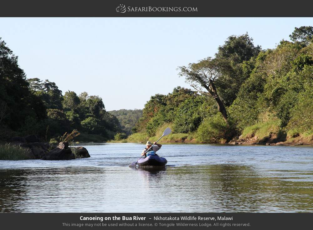 Canoeing on the Bua River in Nkhotakota Wildlife Reserve, Malawi