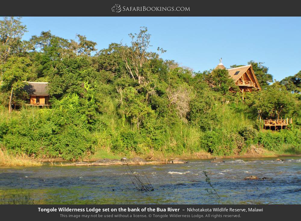 Tongole Wilderness Lodge set on the bank of the Bua River in Nkhotakota Wildlife Reserve, Malawi