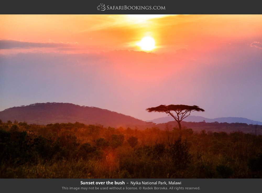 Sunset over the bush in Nyika National Park, Malawi