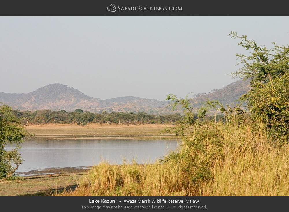 Lake Kazuni in Vwaza Marsh Wildlife Reserve, Malawi