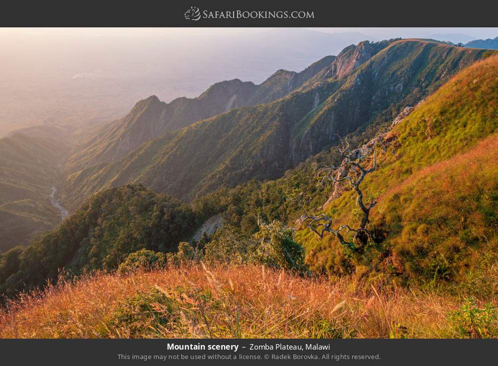 Mountain scenery in Zomba Plateau, Malawi