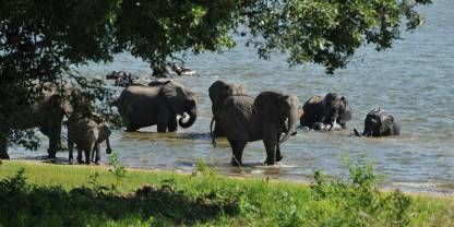 Kasungu National Park