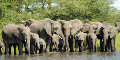 Liwonde National Park