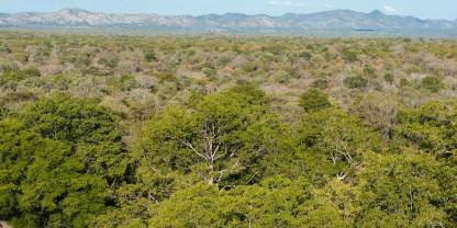 Mwabvi Wildlife Reserve