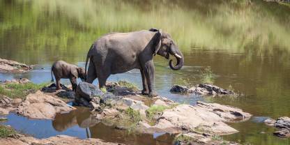 Nkhotakota Wildlife Reserve