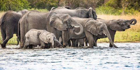 12-Day The Wild Heart of Malawi