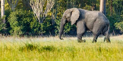 11-Day Highlights of Malawi