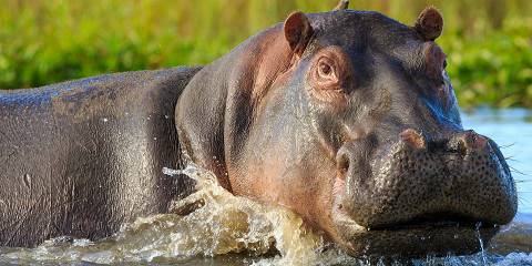 10-Day Malawi Family Road Trip