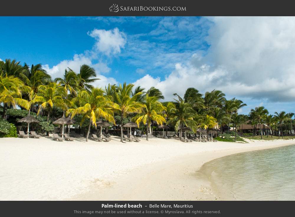 Palm-lined beach in Belle Mare, Mauritius