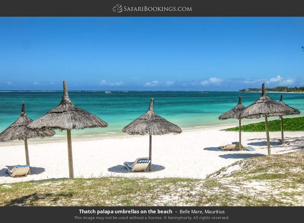 Thatch palapa umbrellas on the beach in Belle Mare, Mauritius