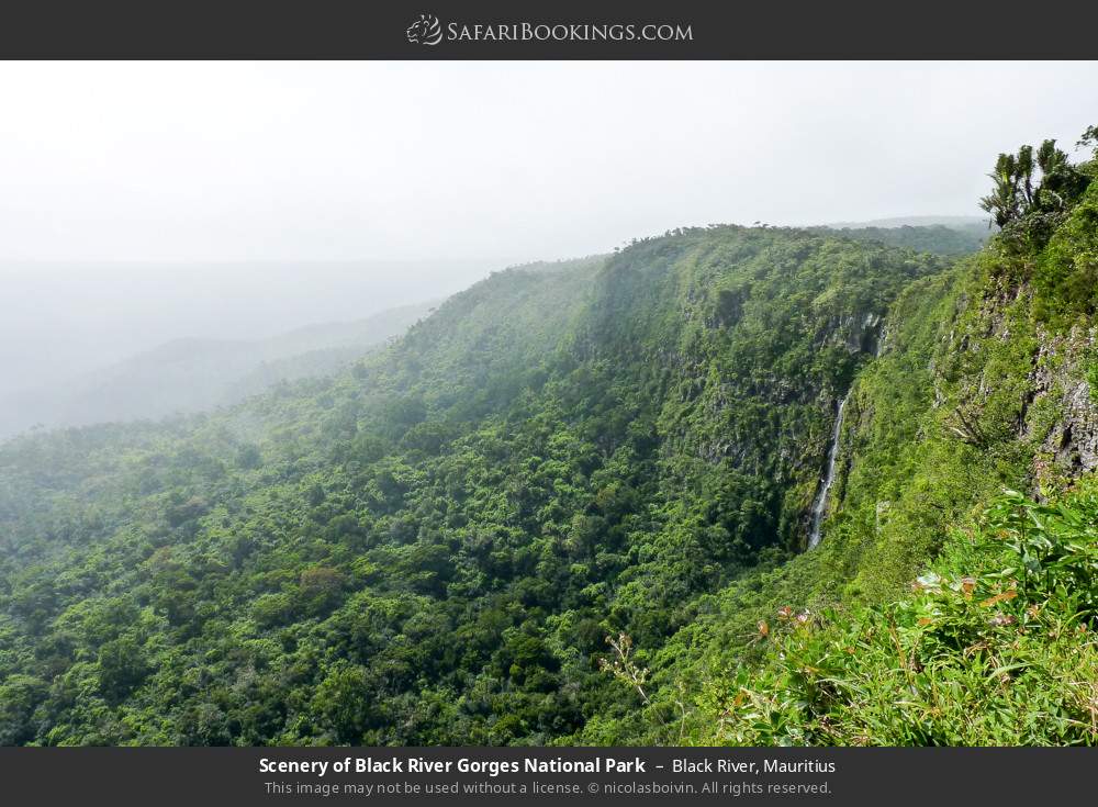 Scenery of Black River Gorges National Park in Black River, Mauritius