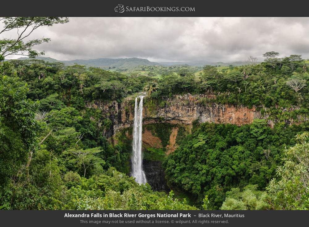 Alexandra Falls in Black River Gorges National Park in Black River, Mauritius