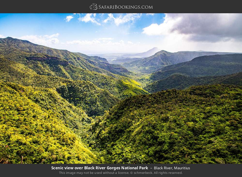 Scenic view over Black River Gorges National Park in Black River, Mauritius