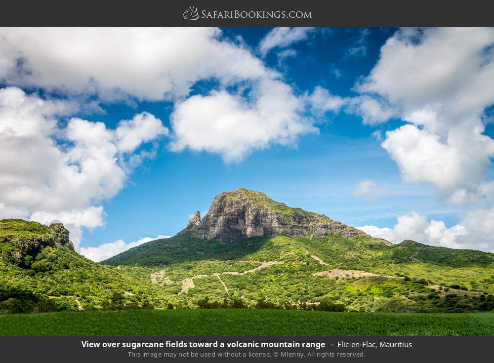 View over sugarcane fields toward a volcanic mountain range in Flic en Flac, Mauritius