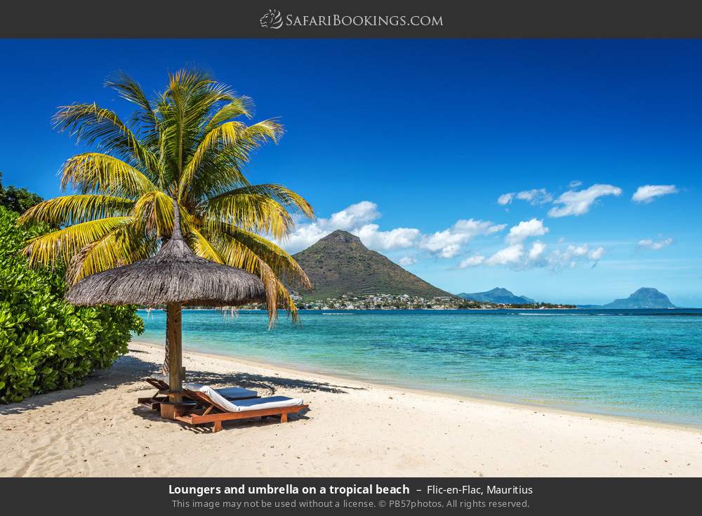 Loungers and umbrella on a tropical beach in Flic en Flac, Mauritius