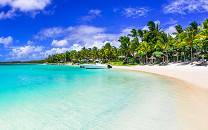 Palm-lined beach