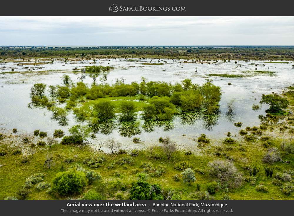 Aerial view over the wetland area in Banhine National Park, Mozambique