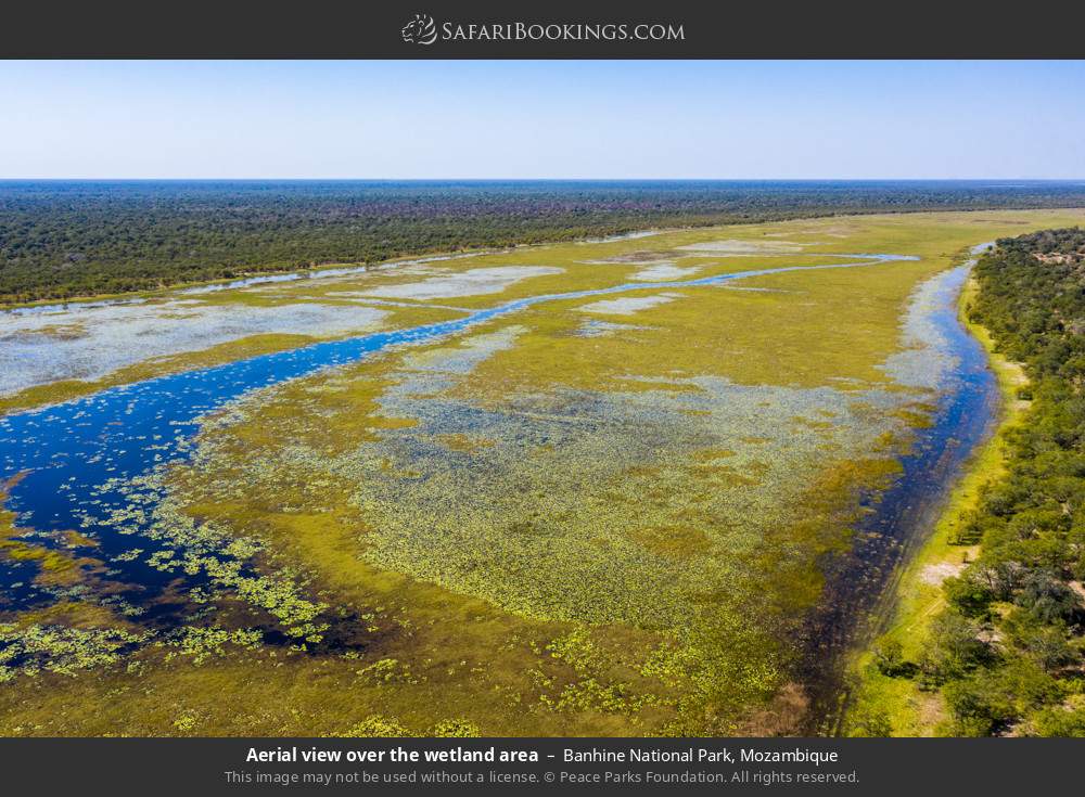 Aerial view over the wetland area in Banhine National Park, Mozambique