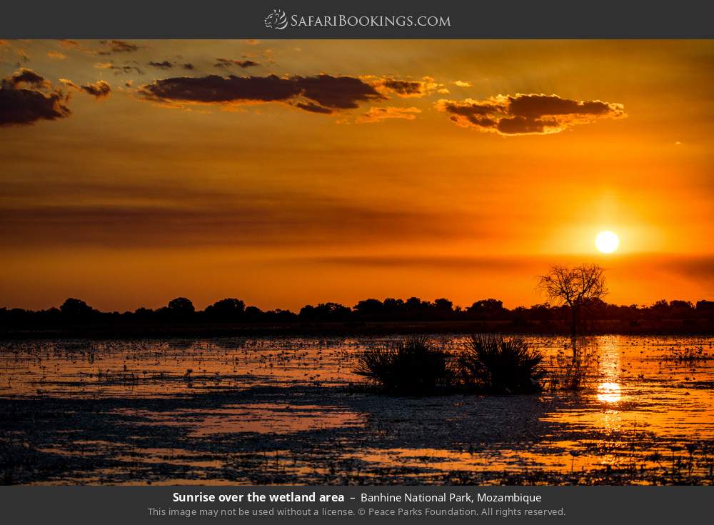 Sunrise over the wetland area in Banhine National Park, Mozambique