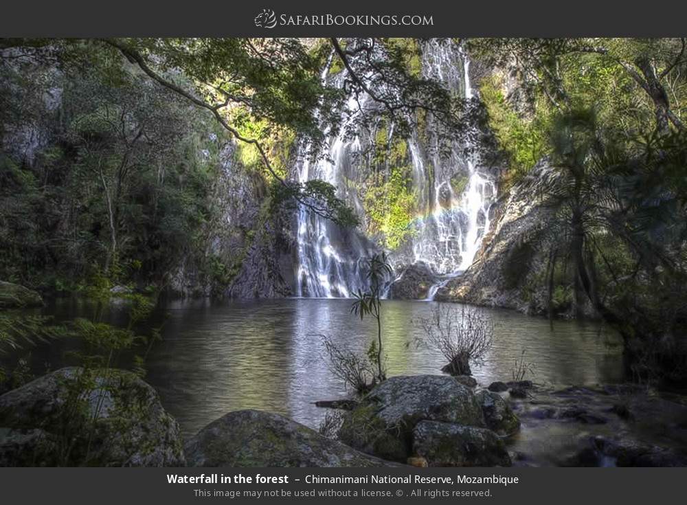 Waterfall in the forest in Chimanimani National Reserve, Mozambique