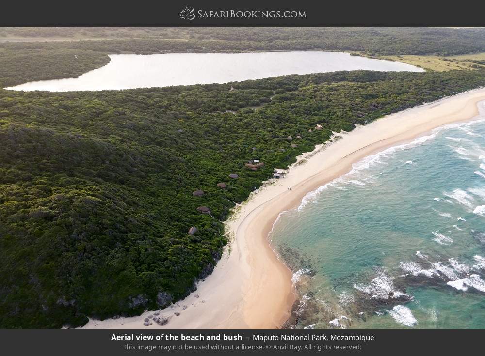 Aerial view of the beach and bush in Maputo National Park, Mozambique