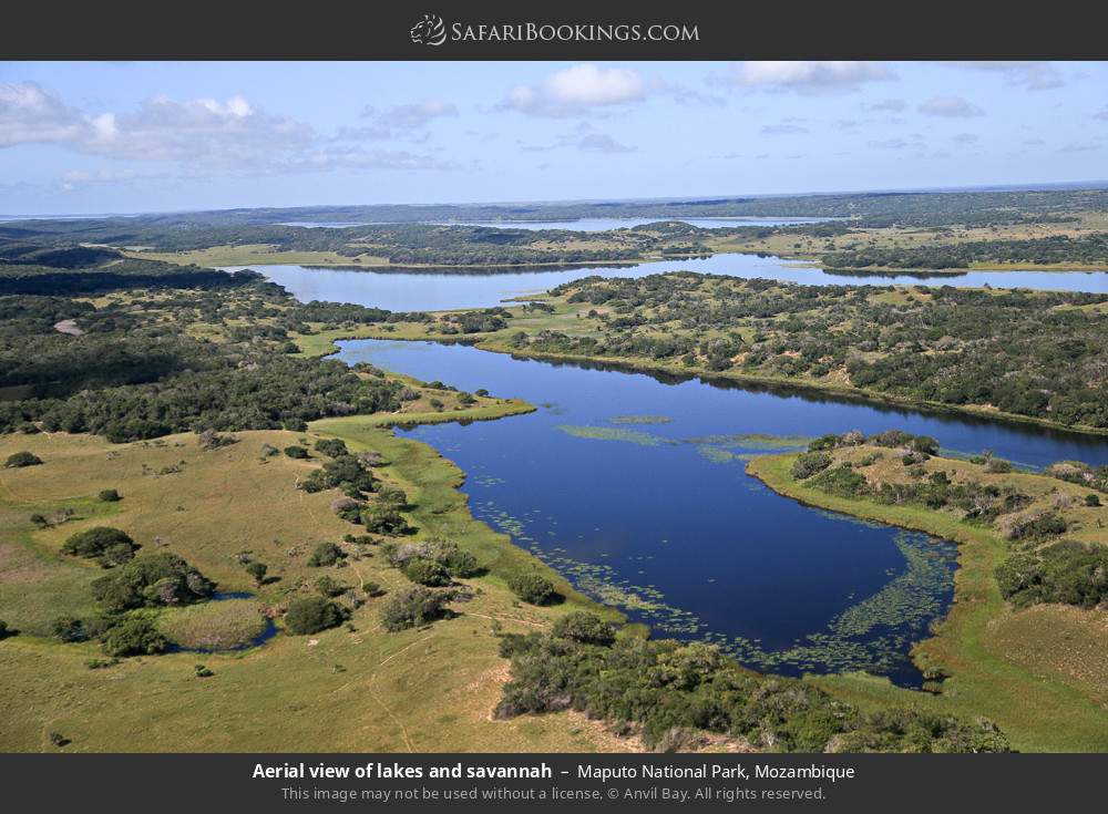Aerial view of lakes and savannah in Maputo National Park, Mozambique