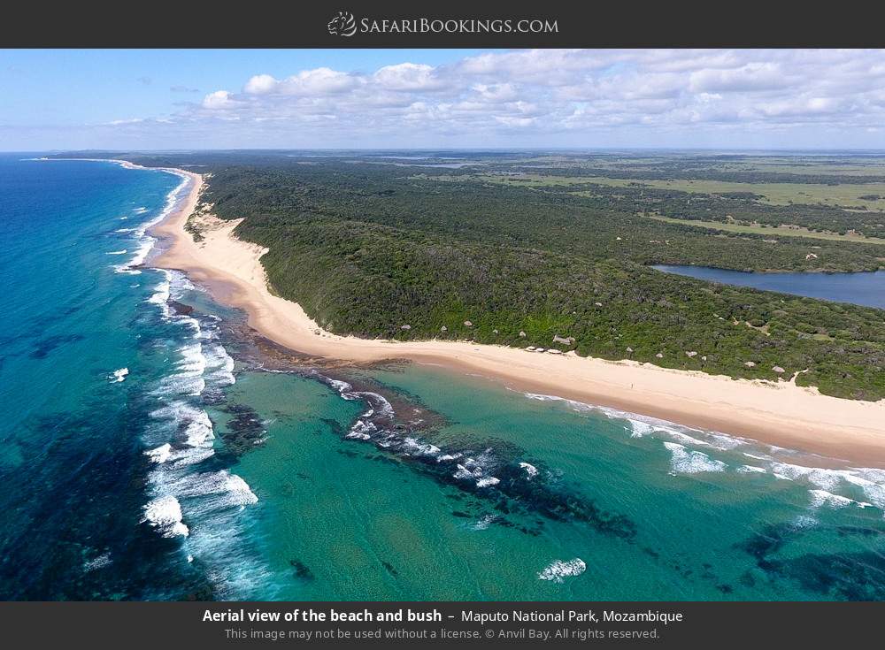 Aerial view of the beach and bush in Maputo Special Reserve, Mozambique