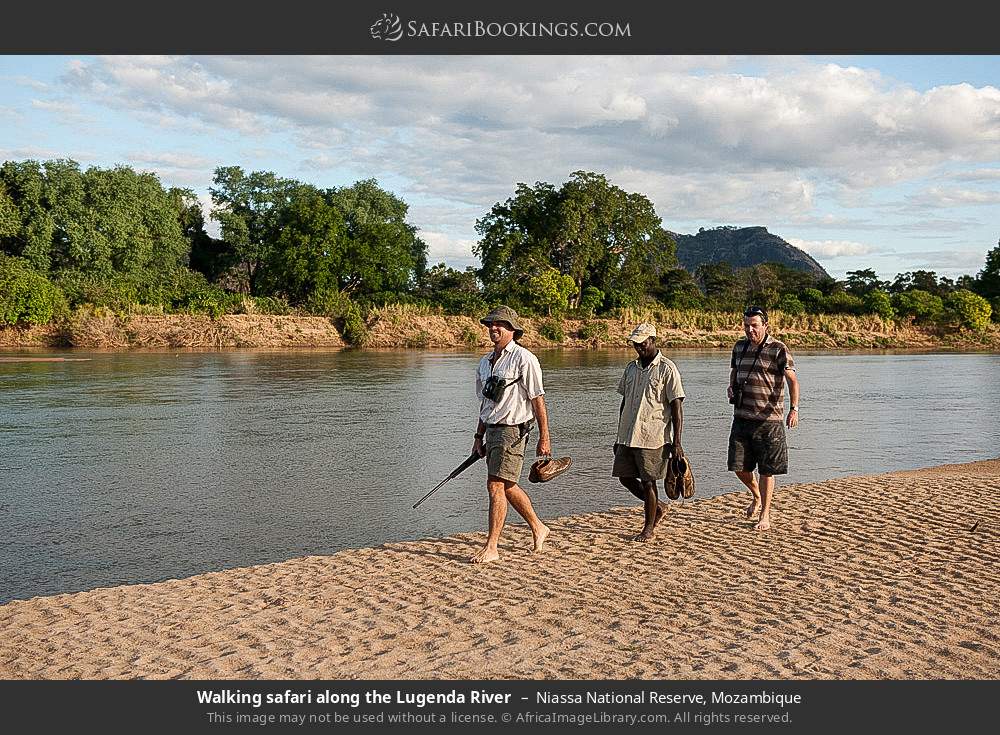 Game walk along the Lugenda river in Niassa National Reserve, Mozambique