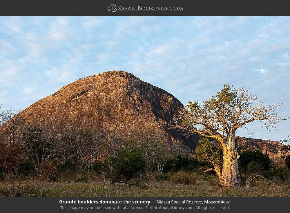 Granite boulders dominate the scenery in Niassa Special Reserve, Mozambique