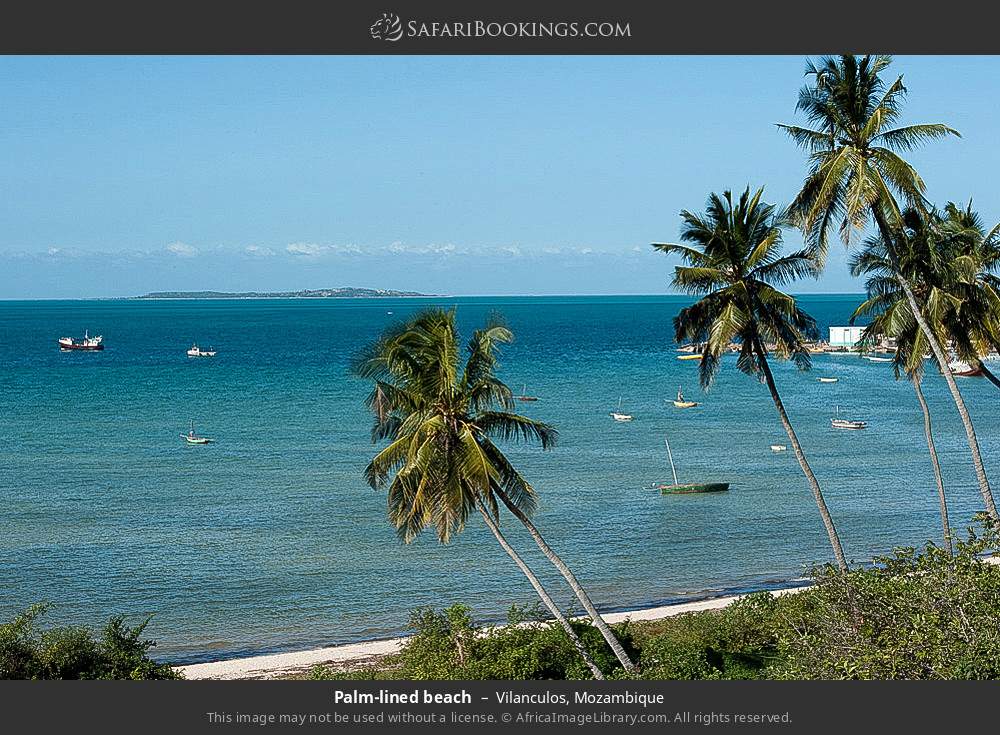 Palm-lined beach in Vilanculos, Mozambique