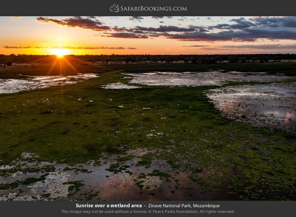 Sunrise over a wetland area in Zinave National Park, Mozambique