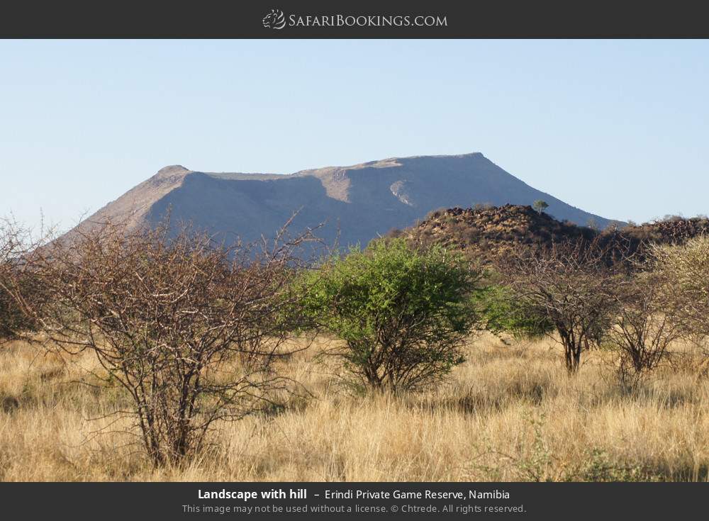 Landscape with hill in Erindi Private Game Reserve, Namibia