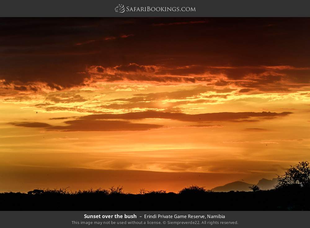 Sunset over the bush in Erindi Private Game Reserve, Namibia