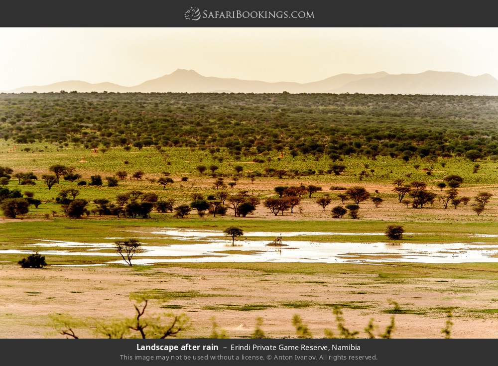 Landscape after rain in Erindi Private Game Reserve, Namibia