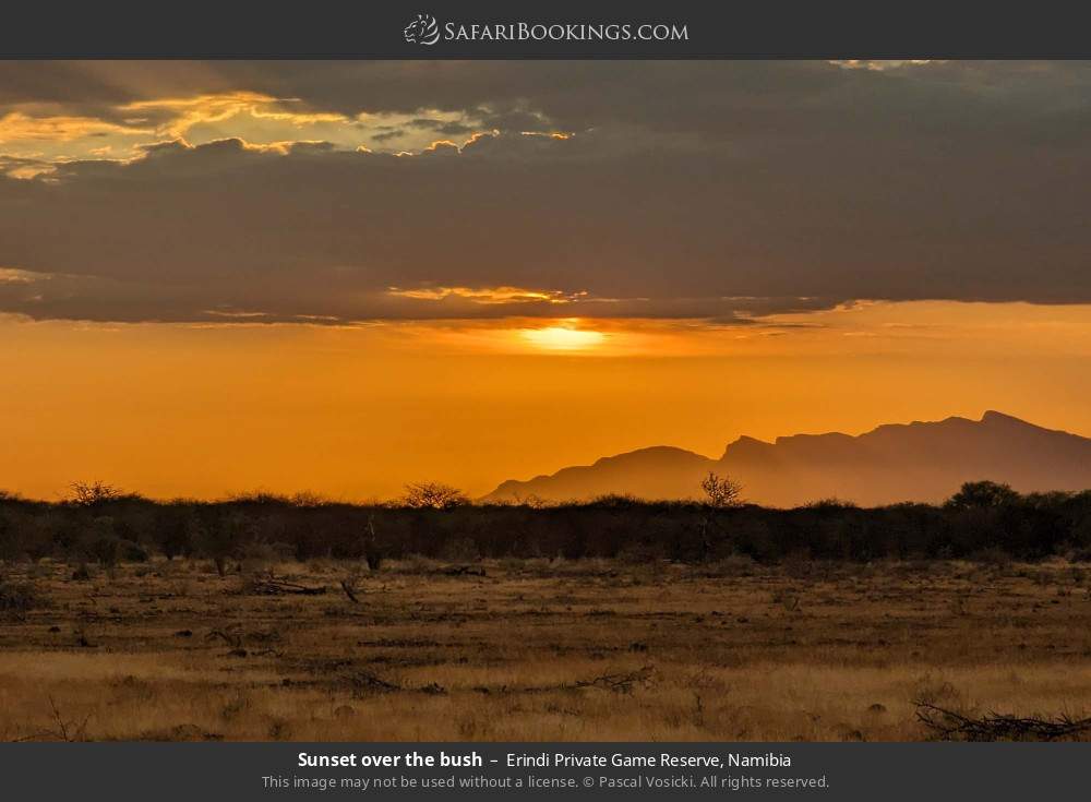 Sunset over the bush in Erindi Private Game Reserve, Namibia