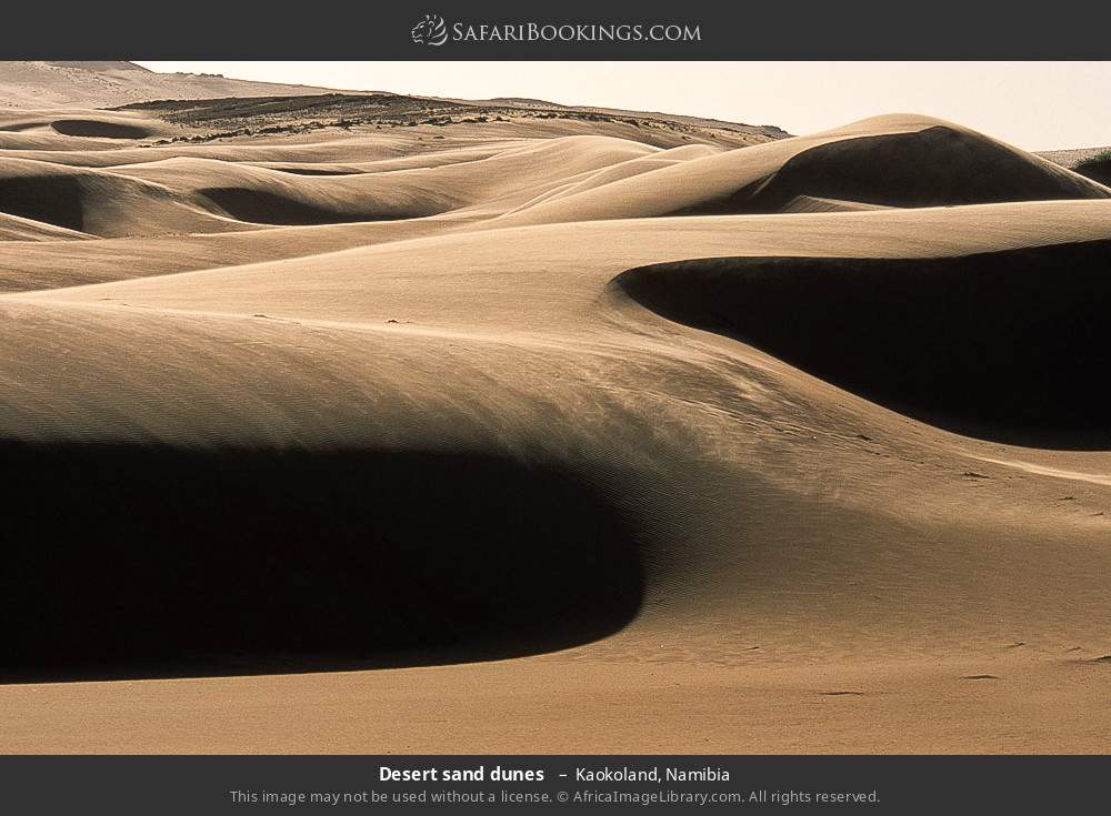 Desert sand dunes  in Kaokoland, Namibia