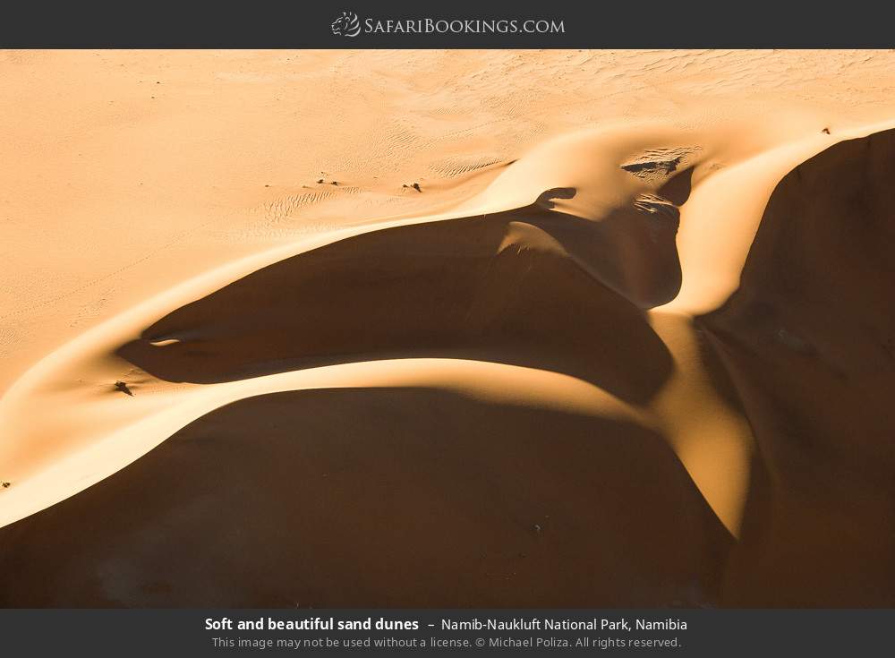 Soft and beautiful sand dunes in Namib-Naukluft National Park, Namibia