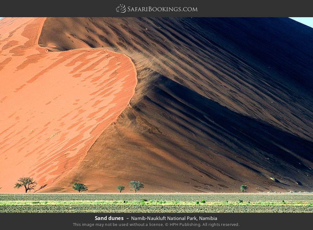 Sand dunes in Namib-Naukluft National Park, Namibia