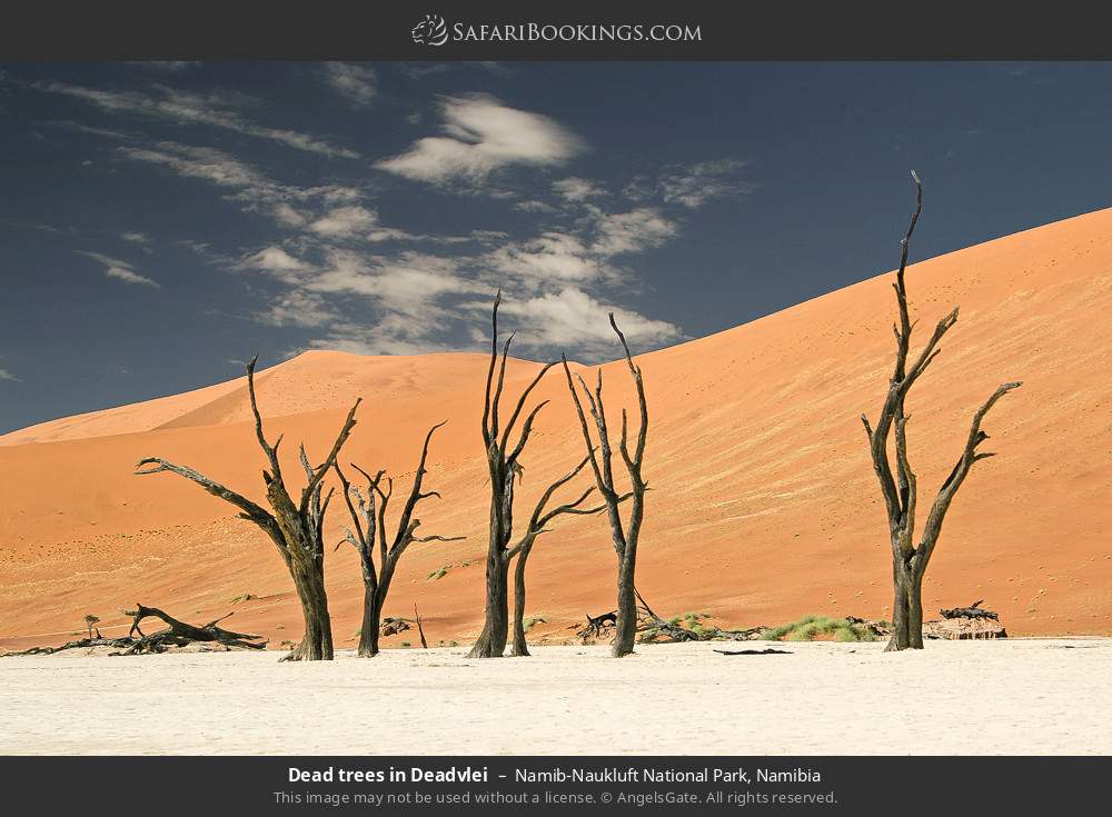 NAMIBIA AT A GLANCE visual data 2